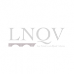 LNQV gris